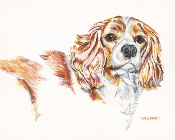 Painting of a Cavalier King Charles Spaniel.