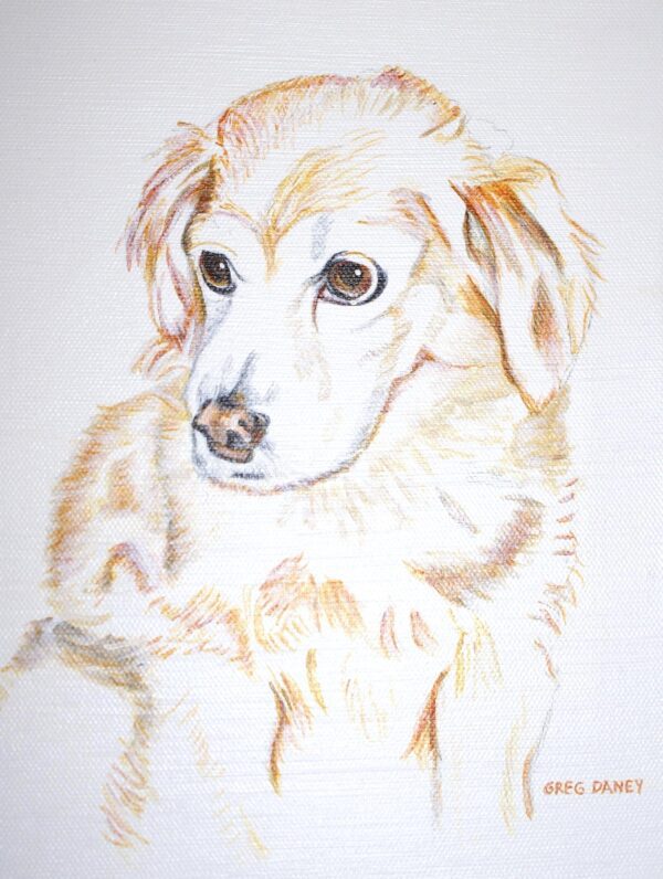 Here's an alt tag for the image: `Cream-colored puppy portrait drawing`