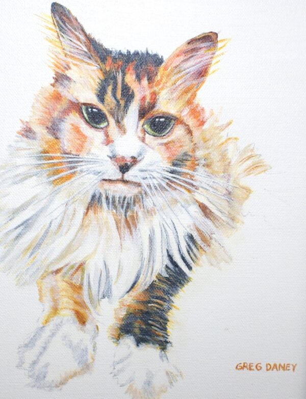 Calico cat portrait, watercolor painting.