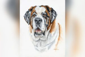 Floating Features Pets